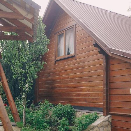 Будиночок В Карпатах Jaremtsje Eksteriør bilde