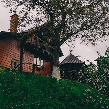 Будиночок В Карпатах Jaremtsje Eksteriør bilde